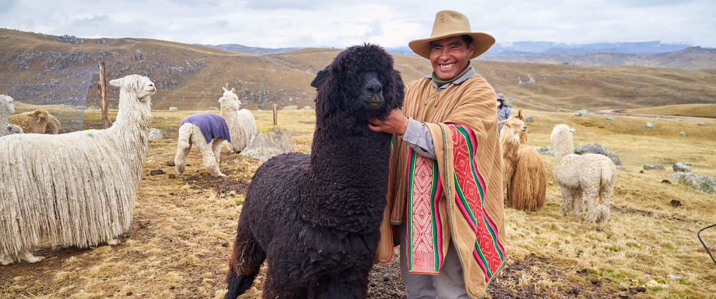 Fibra de Alpaca peruana